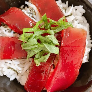 マグロの漬け丼